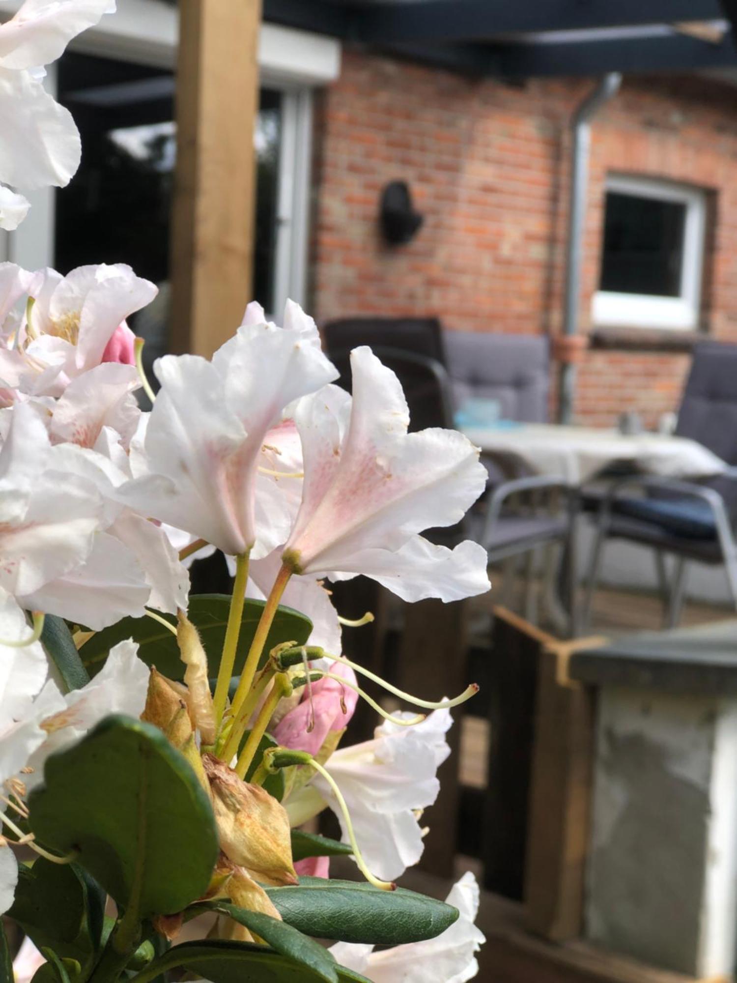 Haus Alma 1 Apartment Wardenburg Екстериор снимка