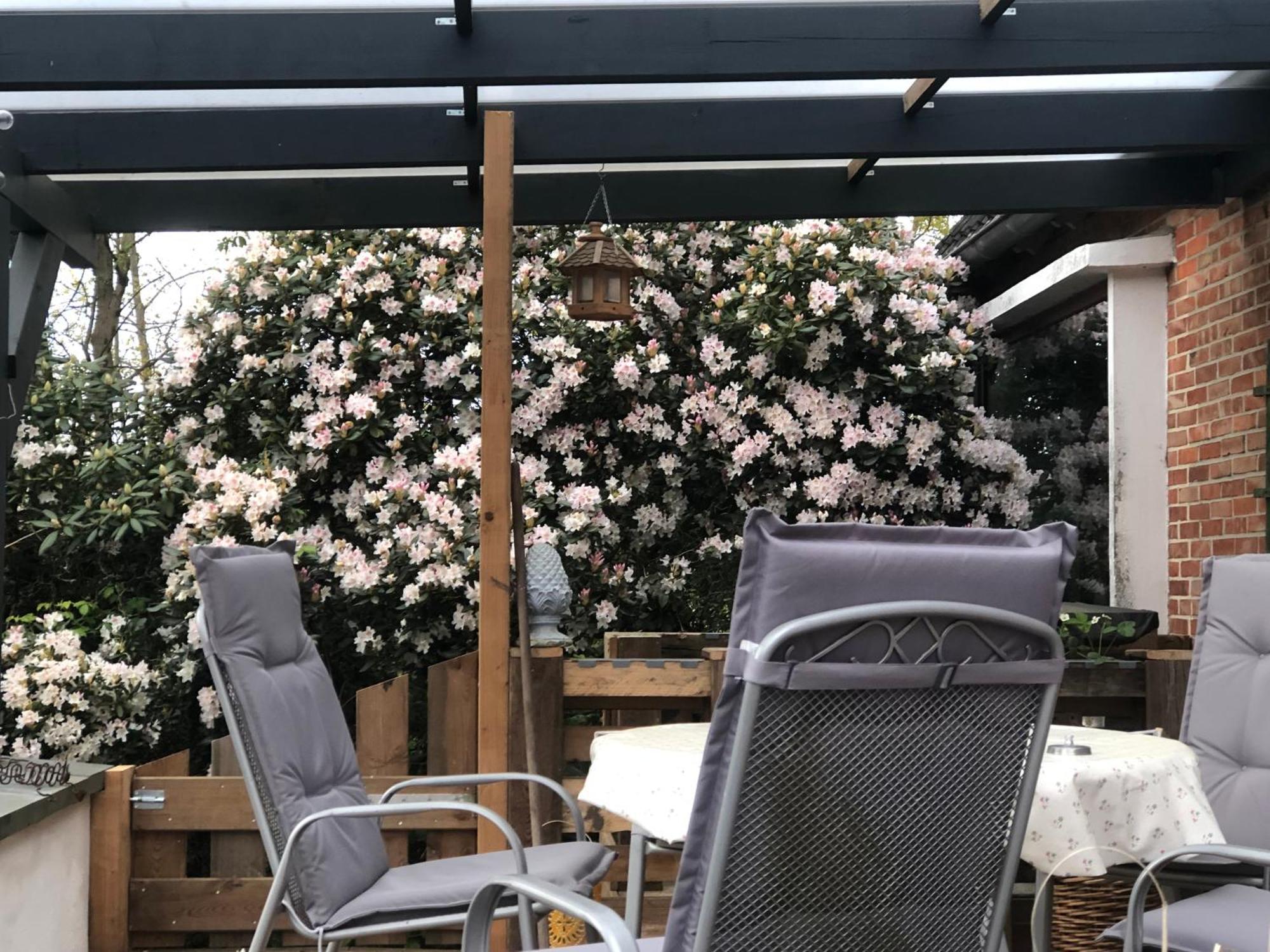 Haus Alma 1 Apartment Wardenburg Екстериор снимка